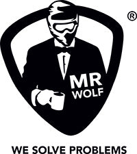 Mr Wolf Mousse Balls